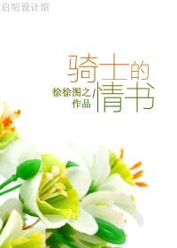 骑士的情书by徐徐图之TXT