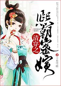 清穿之康熙昭妃
