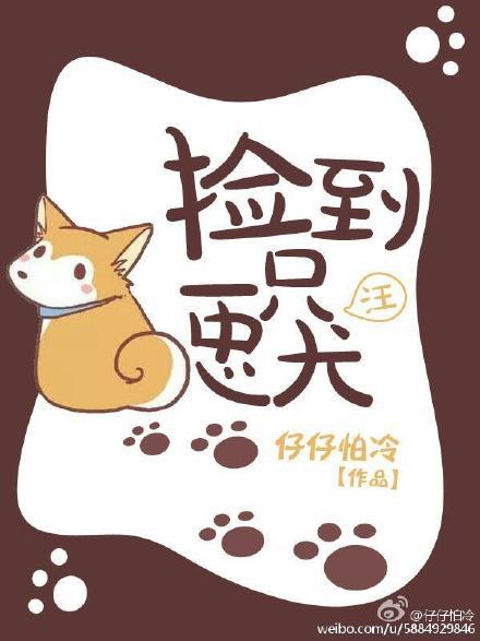 捡一只忠犬来投喂