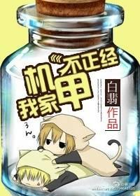 我家机甲不正经 百科