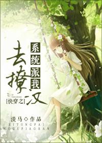 快穿之系统派我去撩汉作者淡马