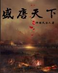 盛唐天下电视剧