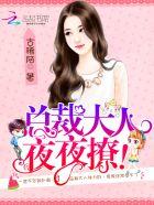 总裁大人难伺候席城阿雅
