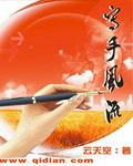 写意风流讲什么