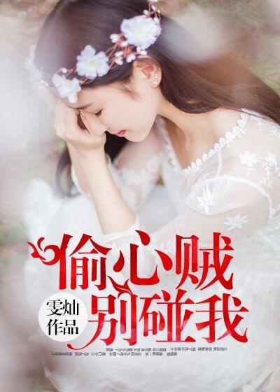偷心贼是什么