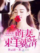 宠婚入骨:萌妻束手就情