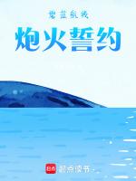 碧蓝航线：炮火誓约